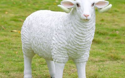 景區草地上一只站立的玻璃鋼仿真綿羊雕塑