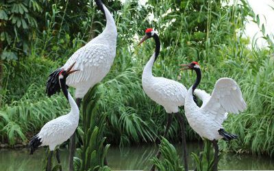 景區裝飾品玻璃鋼彩繪仙鶴雕塑