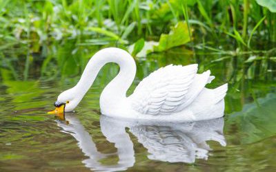 創(chuàng)意景觀池塘里覓食的仿真天鵝雕塑