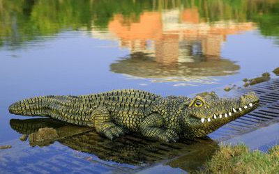 湖邊擺放的玻璃鋼仿真鱷魚雕塑