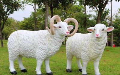 草地上一對(duì)玻璃鋼仿真綿羊雕塑