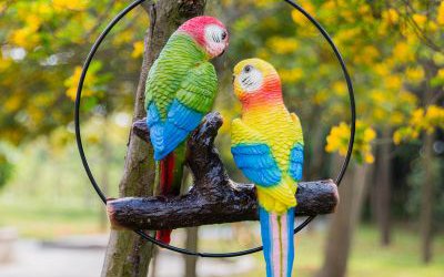 動(dòng)物園樹上休息的玻璃鋼仿真鸚鵡雕塑