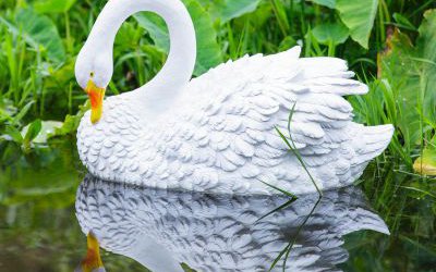 池塘湖邊庭院別墅玻璃鋼浮水?dāng)[件仿真天鵝雕塑