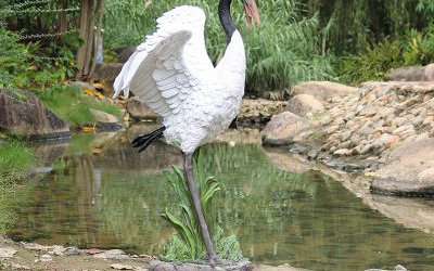 戶外池塘玻璃鋼仿真抖翅膀的仙鶴雕塑