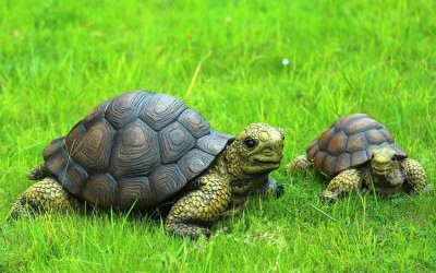 戶外草坪玻璃鋼仿真動物烏龜雕塑